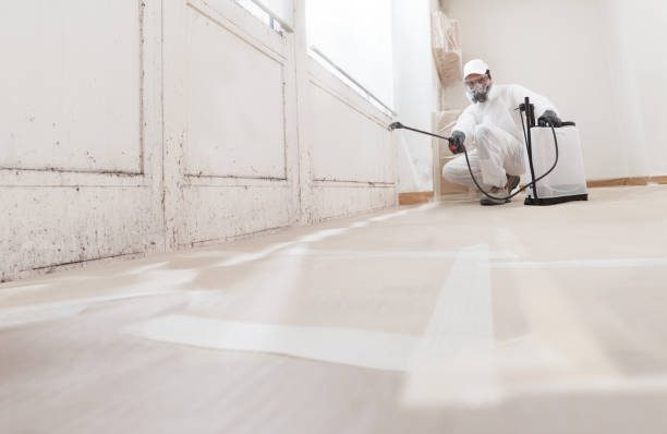 Black mold remediation team in Poolesville