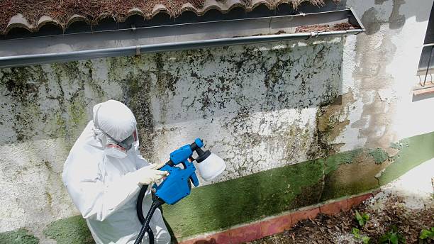Mold Remediation service in Poolesville, Poolesville, MD